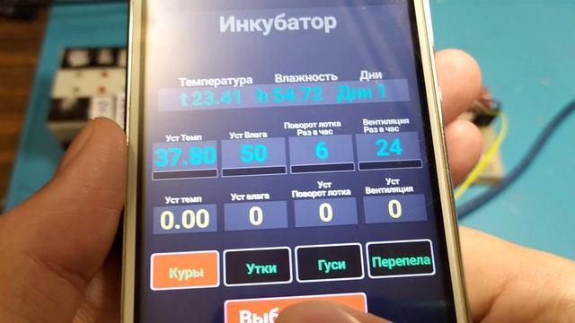 Ардуино инкубатор полностью автоматический смотреть онлайн