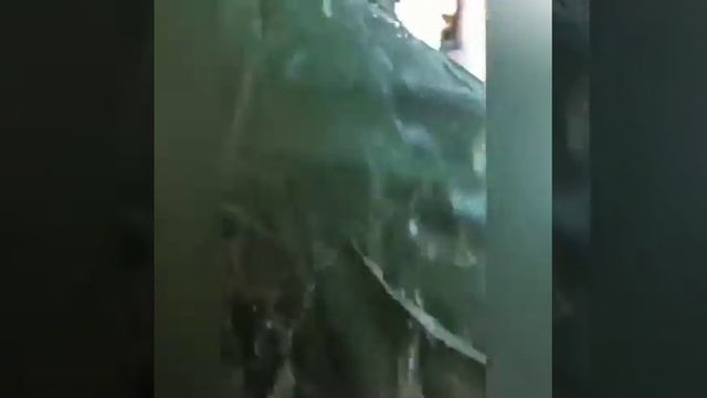 Как с гуся вода! ☺ Это про наши плащи!!! смотреть онлайн