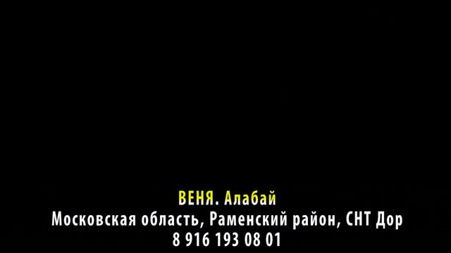 Пропала собака! ВЕНЯ. Алабай. Московская область, Раменкий район, СНТ Дор, д. Нестерово, Бронниц смотреть онлайн