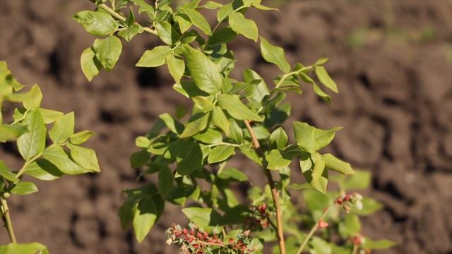 Стройка Эксперт