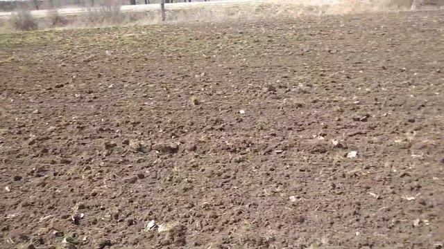 Культиватор КПУ-9 аналог Köckerling (Германия), работа по влажной почве. смотреть онлайн