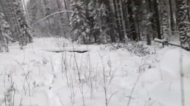 НОВЫЙ ГОД В ТАЙГЕ: Как мы встретили 2019 смотреть онлайн