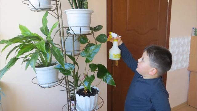 экологическая социальная деятельность детей смотреть онлайн