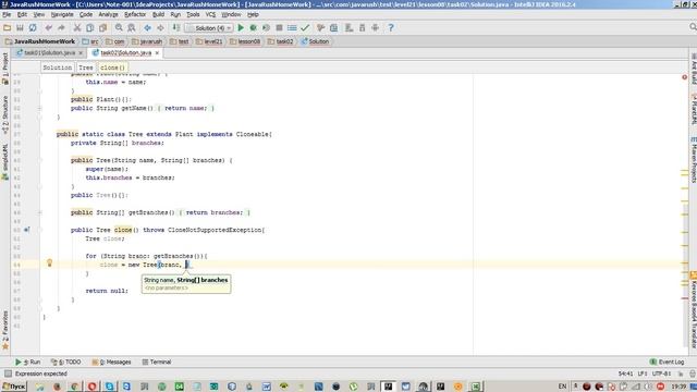 Решение JAVARUSH: level21 lesson08 task02 clone() смотреть онлайн