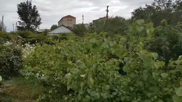 VLOG Осеннее настроение. Много ли нужно для счастья смотреть онлайн