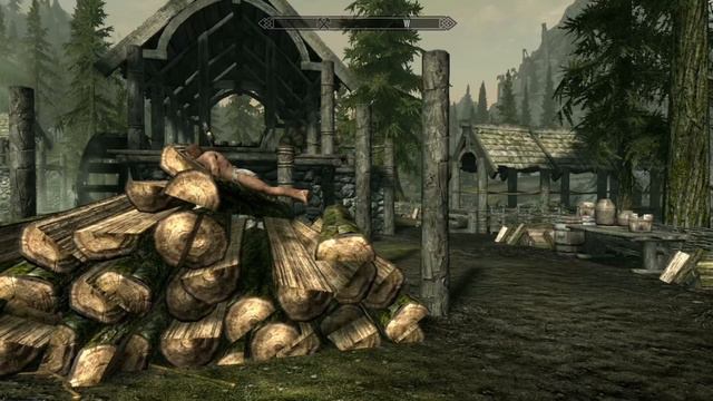 Skyrim Log Glitch смотреть онлайн