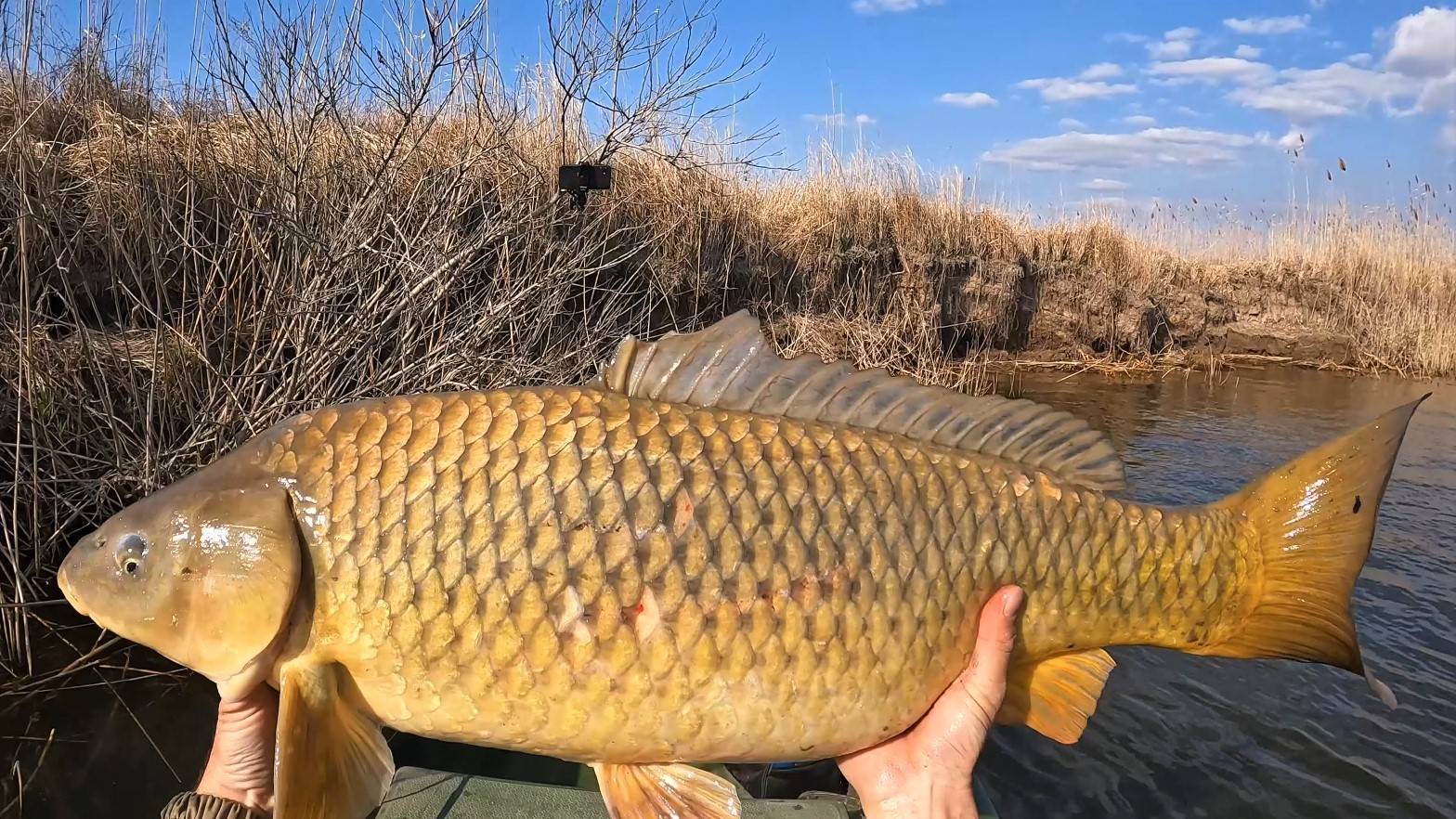 КТО КУДА, А МЫ НА РЫБАЛКУ! ДВОЕ СУТОК В ПАЛАТКАХ. ОГРОМНЫЙ САЗАН. НОЧНАЯ ЛОВЛЯ СОМА. ЭТО АСТРАХАНЬ. смотреть онлайн