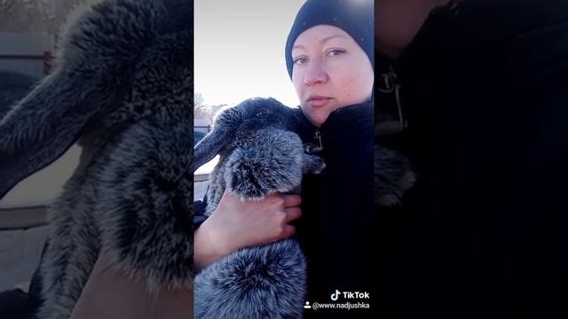 Кролики #липецк48 #зима2021 #кролиководство смотреть онлайн