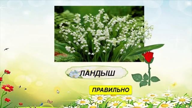 Цветочная викторина смотреть онлайн