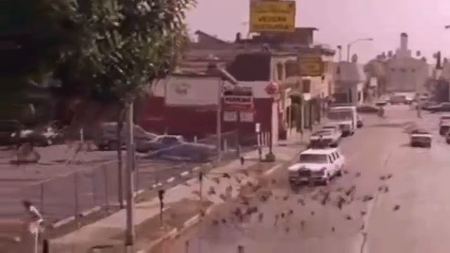 "Девочка,ты Космос и Огонь" Татьяна Красовская смотреть онлайн