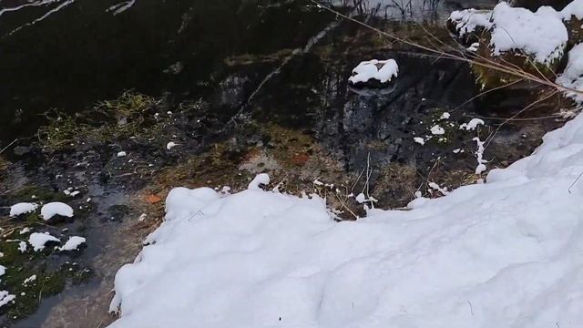 Исток реки Рудица. Древнее сокральное место. смотреть онлайн
