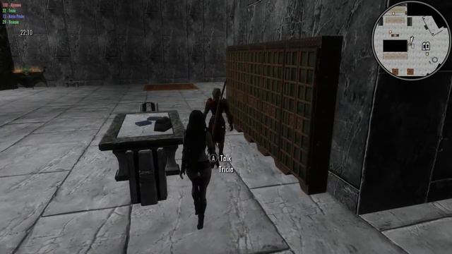 Skyrim-Maids 2 Deception Part 4 смотреть онлайн