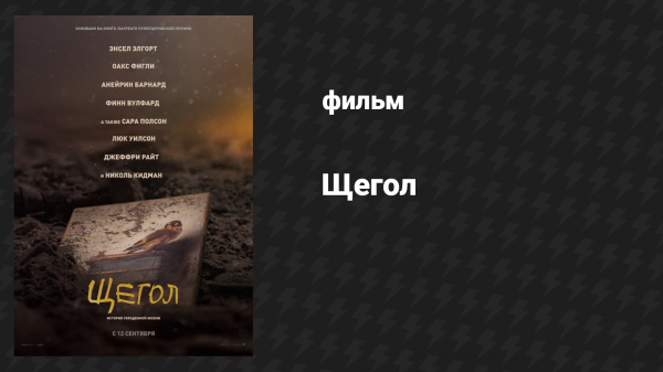 Щегол (фильм, 2019)
