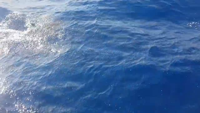 EP1?♂️ Navegación a Vela en Solitario (+115 Millas) sin escalas. Como navegar con viento de popa смотреть онлайн