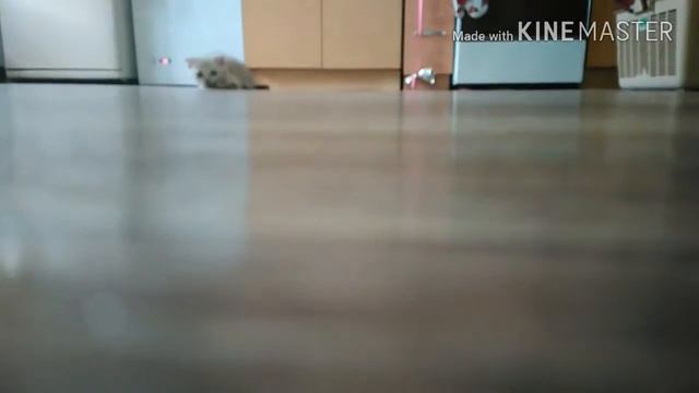 Гарри и конфета! У Гарри Поттера есть девушка?!!!!