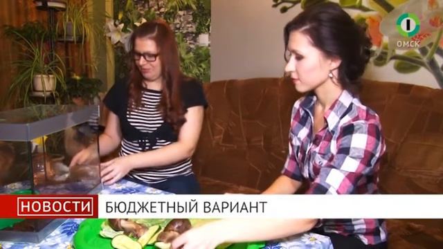 СЮЖЕТ Улитка смотреть онлайн