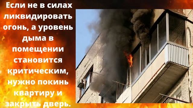 Проект по ОБЖ смотреть онлайн