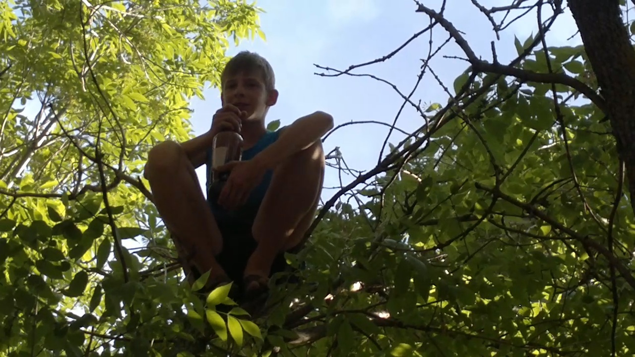 Пацан пьёт пиво на дереве смотреть онлайн