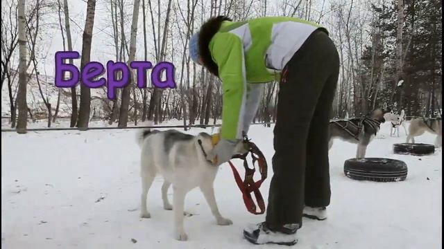 Тренировка№6.avi смотреть онлайн