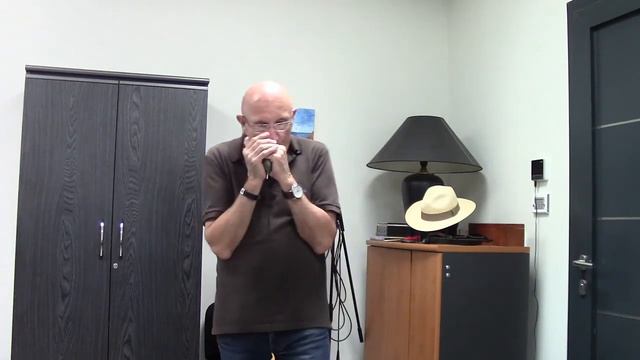 BLOWIN IN THE WIND : joué à l'harmonica diatonique смотреть онлайн