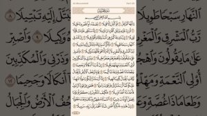 Чтение суры Аль-Муззаммиль (73) Айман Сувейд