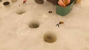 Порыбачил на куриную печень. Зимняя рыбалка 2022