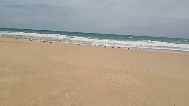 Rakawa Beach Sri Lanka | Rekawa Beach