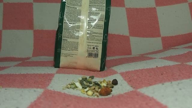 Лучший корм для морских свинок смотреть онлайн