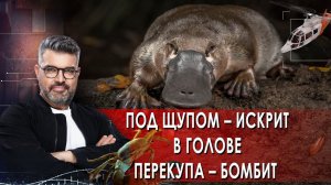 Под щупом – искрит, в голове перекупа – бомбит. | Знаете ли вы, что?  (06.11.2021).