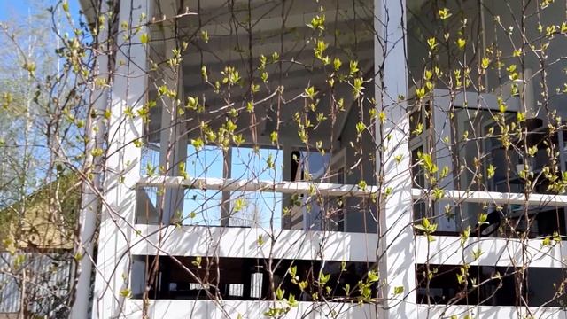 Vlog. Работы в саду в начале мая. Закрыли проемы под террасой. Посадка томатов. Размножение малины. смотреть онлайн