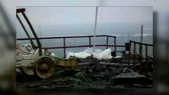 То, Что Учёные Обнаружили в Лесу Чернобыля, Поразило Весь Мир смотреть онлайн