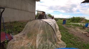 Парник из ПНД труб.