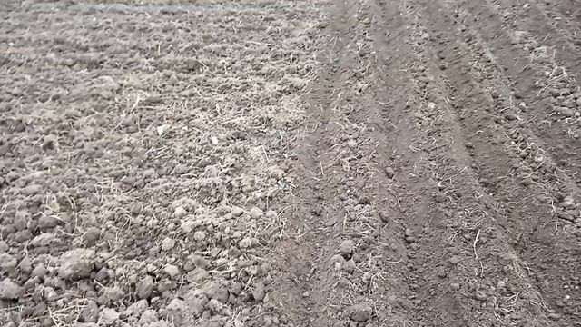 Посадка чеснока. смотреть онлайн