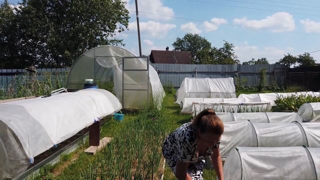 БИО подкормка для овощных культур! смотреть онлайн