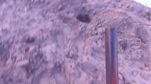 Посадка АРБУЗОВ и ДЫНЬ в открытый грунт