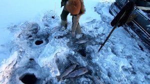 Рыбалка! Есть рай на Земле!.