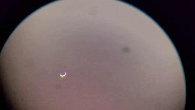 Венера на утреннем небе в январе. смотреть онлайн