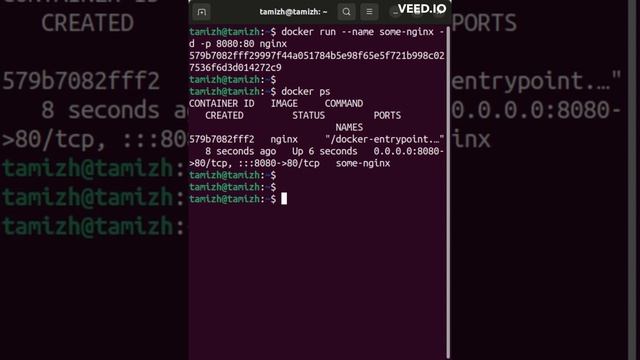 Nginx in docker container #docker #container #nginx #devops #devopstutorialsforbeginners смотреть онлайн