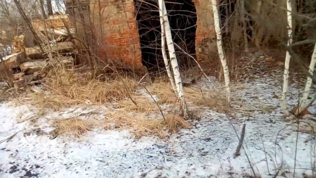 Калач - Воронежская область - Развал Зверохозяйства 2018г смотреть онлайн