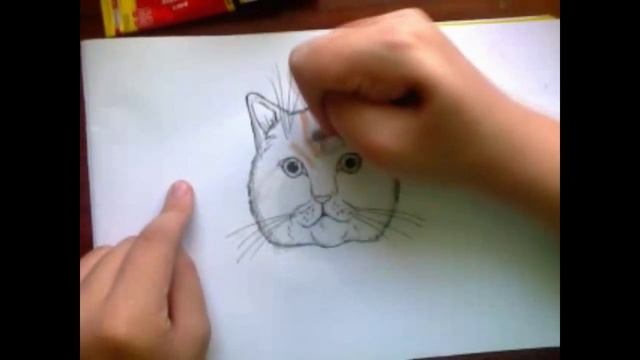 как рисовать кота (часть 1) смотреть онлайн