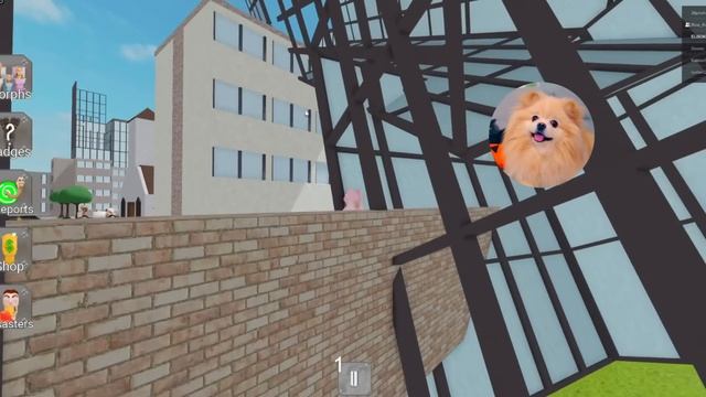 СКИБИДИ ТУАЛЕТЫ В РОБЛОКС ! НОВЫЕ МОРФЫ РАДУЖНЫЕ ДРУЗЬЯ УНИТАЗЫ В ROBLOX смотреть онлайн