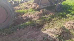 Картофель, уборка. Т-25 +транспортерная картофелекопалка.