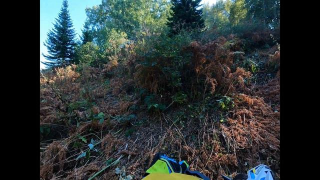 Лесная Суета 2, Еnduro, Горная Ульбинка, смотреть онлайн