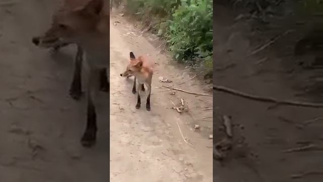 вот и угощай смотреть онлайн