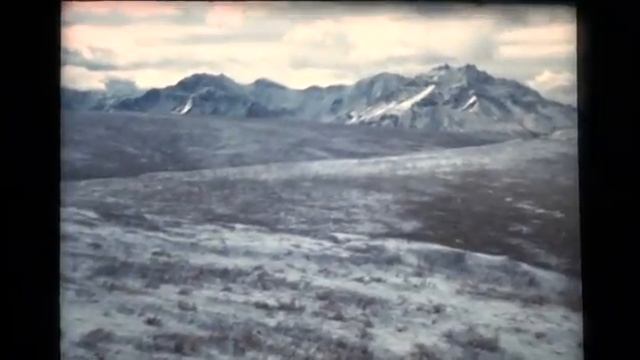 Denali National Park (1978 Documentary) смотреть онлайн