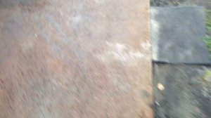 Ремонт гидравлики МТЗ 82 (переборка цилиндра навески Ц-100, промывка гидробака)