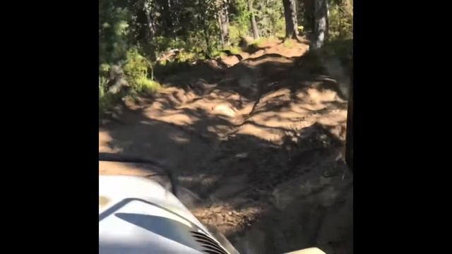 Каракольские озёра. Горный Алтай. Ужасная дорога, прогулка к озёрам. смотреть онлайн