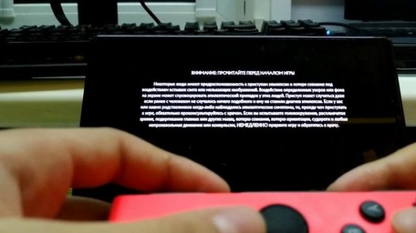 Как поиграть вдвоем на Нинтендо Свитч