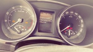 Сброс межсервисного интервала в Skoda