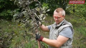Тест мотоблока Нева МБ23 МультиАГРО с измельчителем веток, дровоколом и ездовым адаптером